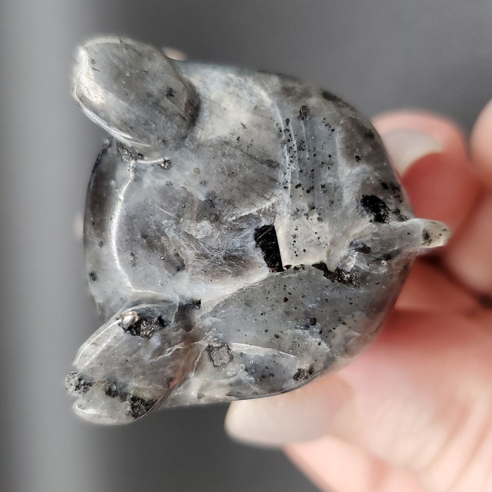 Black Rultilated Quartz Elephant 🐘 - Picture 5 of 5